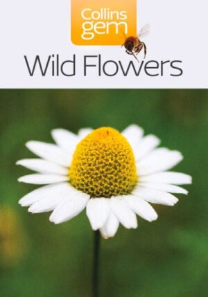 Wild Flowers Gem Guide