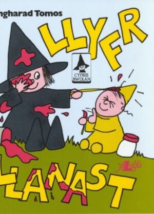 Llyfr llanast