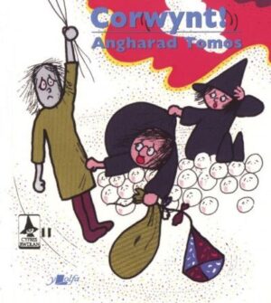 Corwynt Cyfres Rwdlan 11