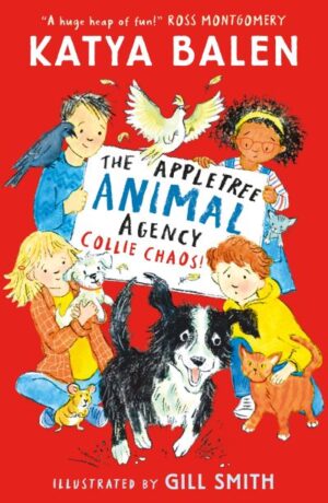 Collie Chaos!