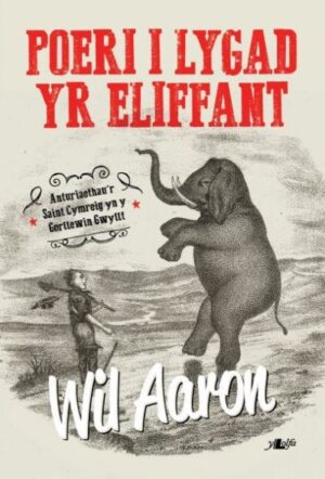 Poeri I Lygad Yr Eliffant
