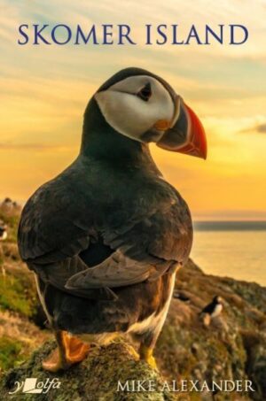 Skomer Island
