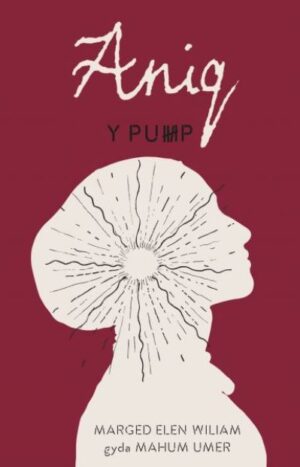 Pump, Aniq