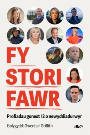 Fy stori fawr