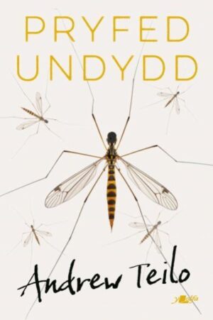 Pryfed undydd