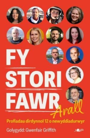 Fy Stori Fawr Arall