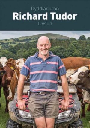 Dyddiaduron Richar Tudor, Llysun