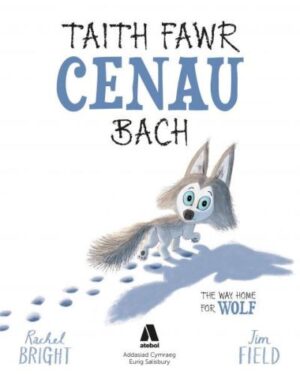 Taith Fawr Cenau Bach