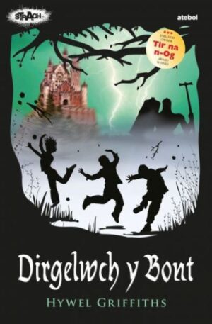 Cyfres Strach Dirgelwch y Bont