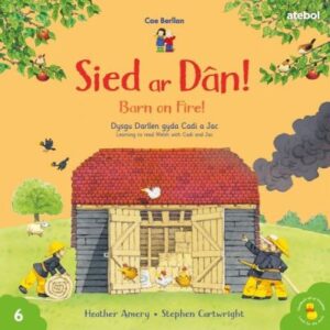 Sied Ar D?n / Barn on Fire Cyfres Cae Berllan