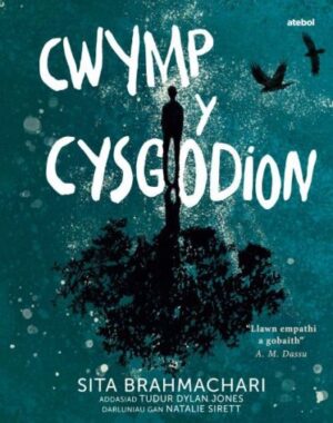 Pan ddaw cysgodion