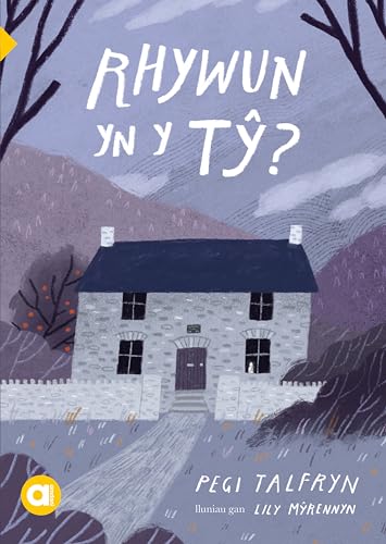Rhywun yn y Ty? Cyfres Amdani