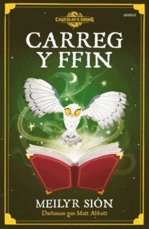 Carreg y ffin