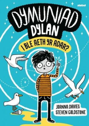 Dymuniad Dylan: I Ble'r Aeth yr Adar?