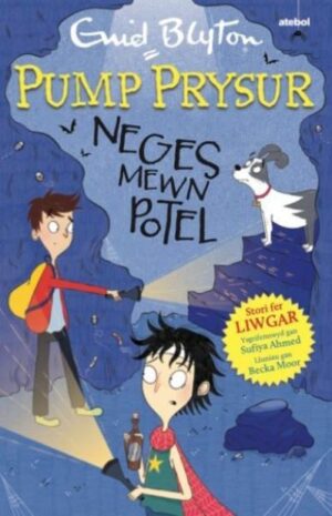 Neges mewn potel Pump Prysur