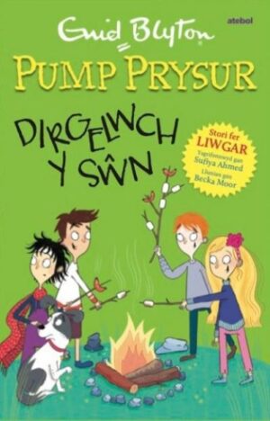 Dirgelwch y swn Pump Prysur