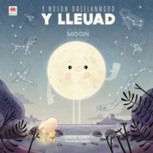 Noson ddiflannodd y lleuad