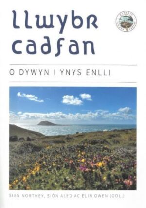 Llwybr Cadfan - O Dywyn i Enlli