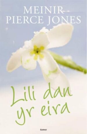Lili Dan yr Eira