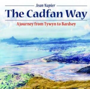 Cadfan Way