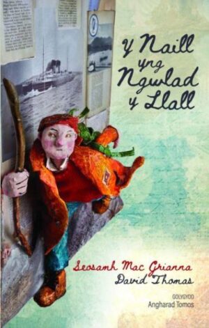 Naill Yng Ngwlad Y Llall, Y