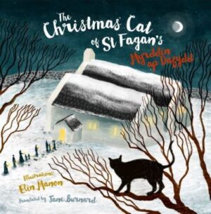 The Christmas cat at St Fagan's
