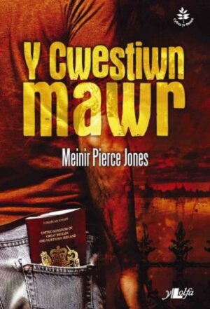 Cwestiwn Mawr (Cyfres yr Onnen)