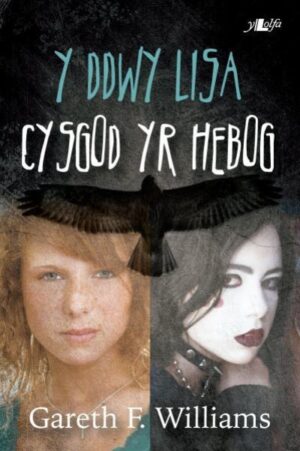 Ddwy Lisa Cysgod Yr Hebog (Cyfres y Dderwen)