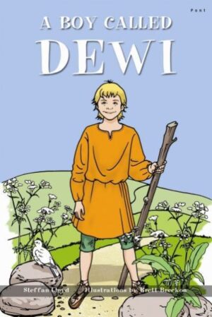 Boy Called Dewi