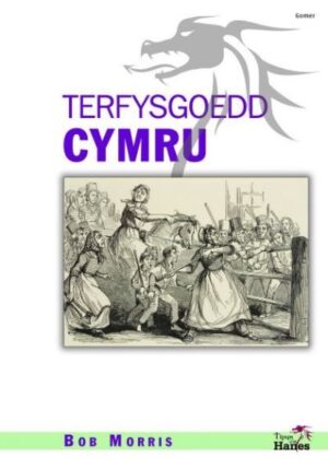 Terfysgoedd Cymru