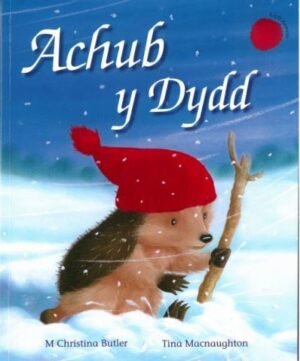 Cyfres Draenog Bach: Achub y Dydd
