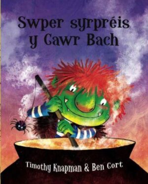 Swper Syrpreis Y Cawr Bach
