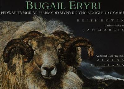 Bugail Eryri