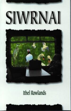 Siwrnai