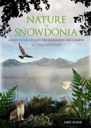 Nature of Snowdonia: A Guide to the Uplands for Hillwalkers and Climbers
