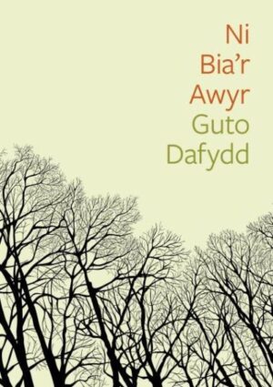 Ni Bia'r Awyr