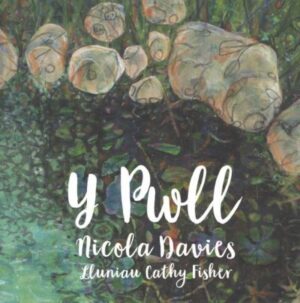 Pwll, Y