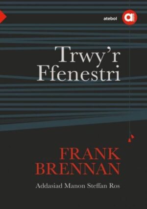 Trwy'r Ffenestri Cyfres Amdani
