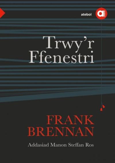 Trwy'r Ffenestri Cyfres Amdani