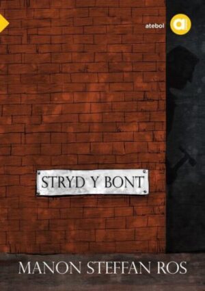 Stryd y Bont Cyfres Amdani