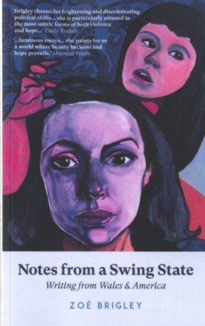 Notes From a Swing State: Writing from Wales and America