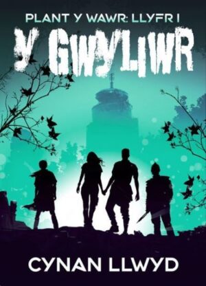 Y gwyliwr