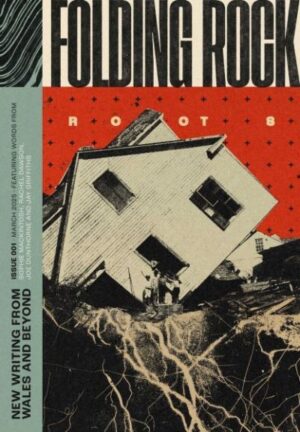 Folding Rock 001: Rosie
