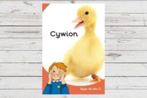 Dyna chi Dric Cywion
