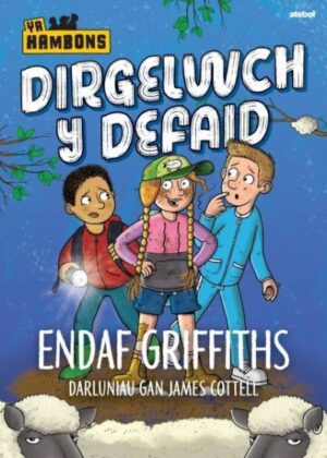 Dirgelwch Y Defaid Cyfres Yr Hambons