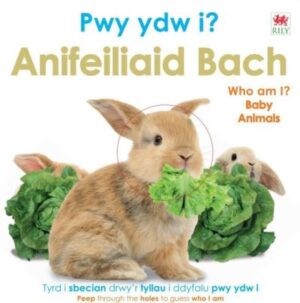 Pwy ydw I? Anifeiliaid bach