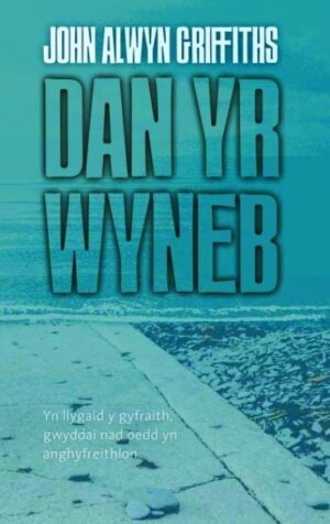 Dan Yr Wyneb