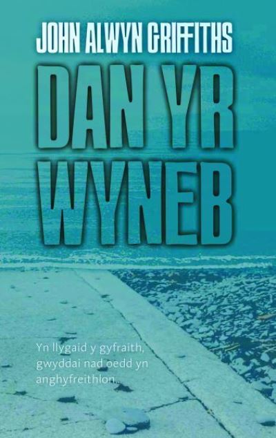 Dan Yr Wyneb