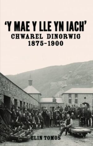 Y Mae y Lle yn Iach - Chwarel Dinorwig 1875-1900