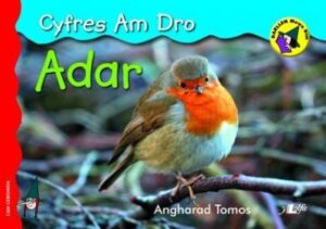Adar - Cyfres am Dro